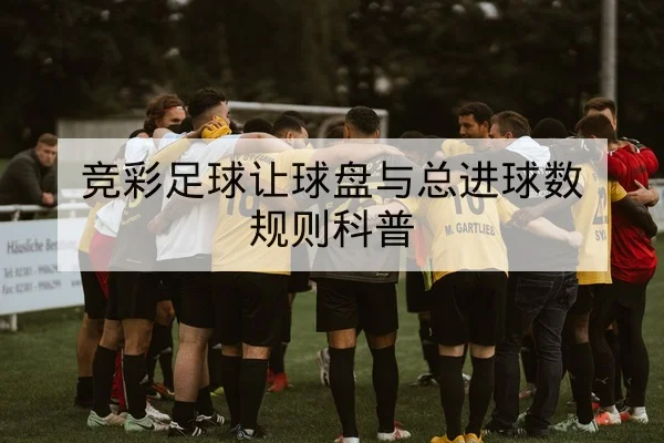 竞彩足球让球盘与总进球数规则科普