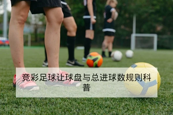 竞彩足球让球盘与总进球数规则科普