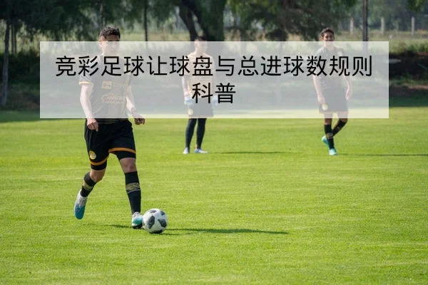 竞彩足球让球盘与总进球数规则科普